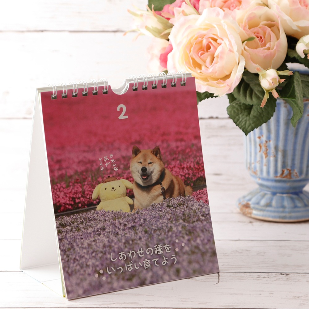 ƸޤߥݥݥץΥϥåԡ᤯