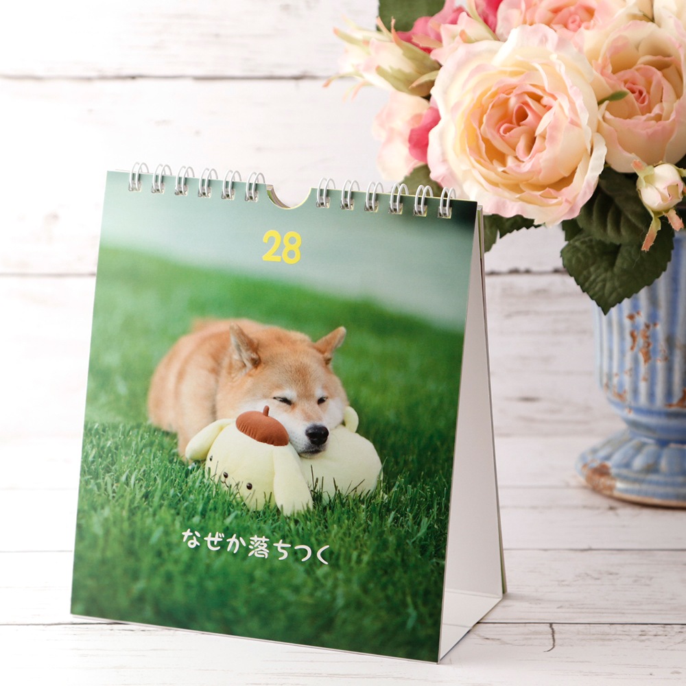 ƸޤߥݥݥץΥϥåԡ᤯