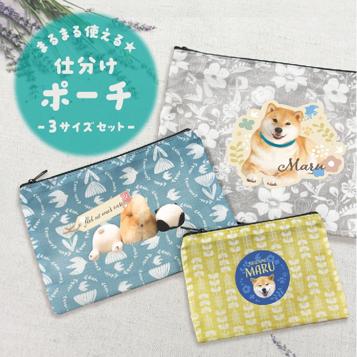 �ޤ�ޤ�Ȥ������ʬ���ݡ���3���������å�