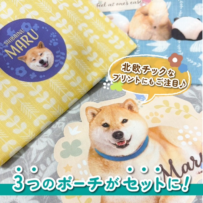 �ޤ�ޤ�Ȥ������ʬ���ݡ���3���������å�