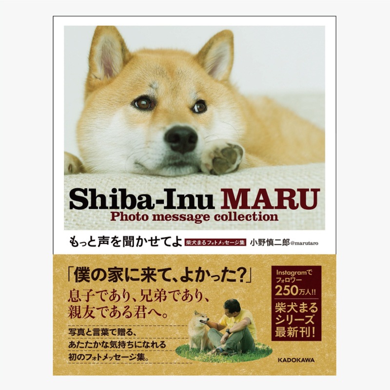 柴犬まる;フォトメッセージ;もっと声を聞かせてよ *