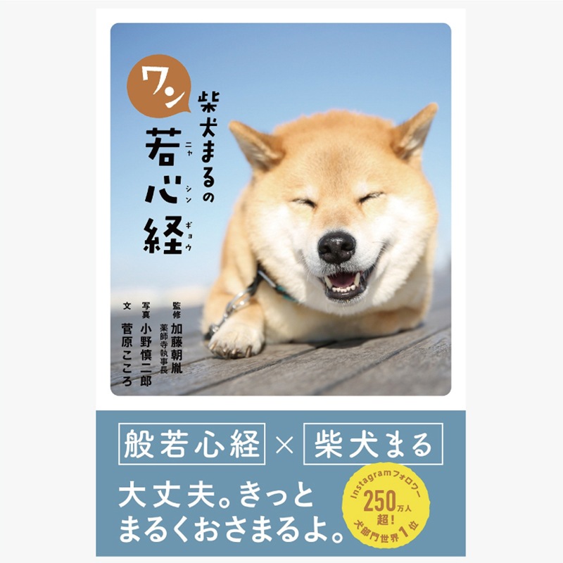 �Ƹ��ޤ�Υ��㿴��