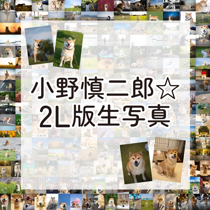 ϺơƸޤ2L̿5祻å