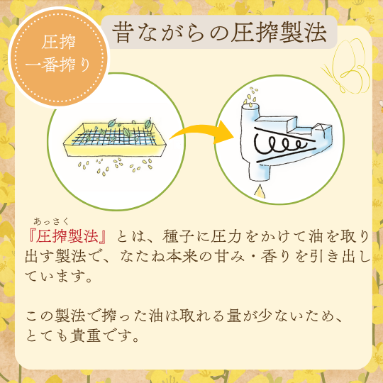 なたね なたね油910g 公式通販【マルタショップ】