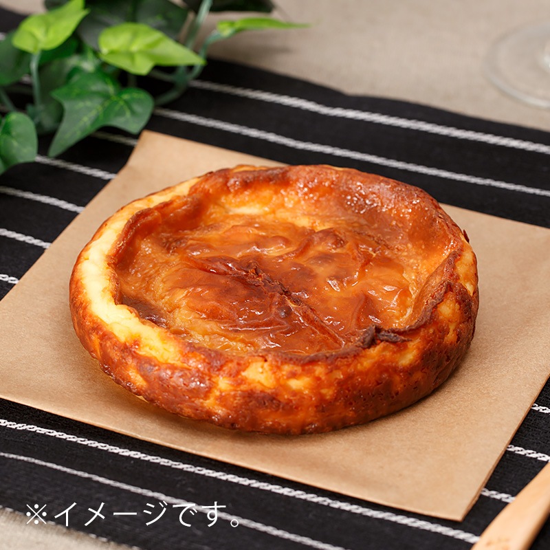 �������ե���ǥ奱�����������