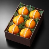 �ǥ��ݥ�����6����