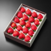 ������20γ��