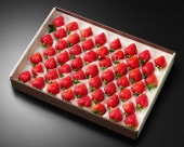 ������53γ��