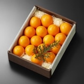 �ⴻ����(��16��18γ��)