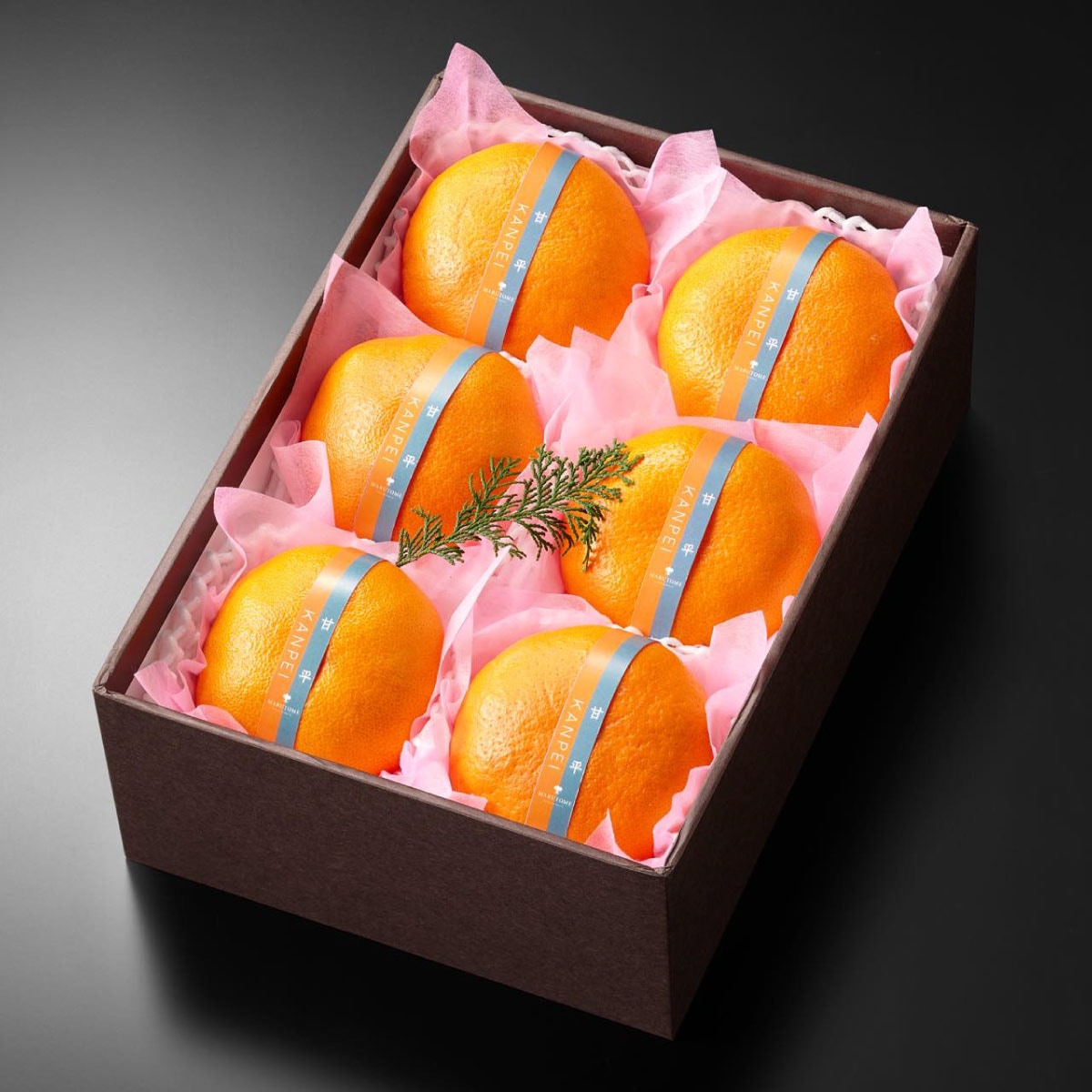 ��ʿ����6����