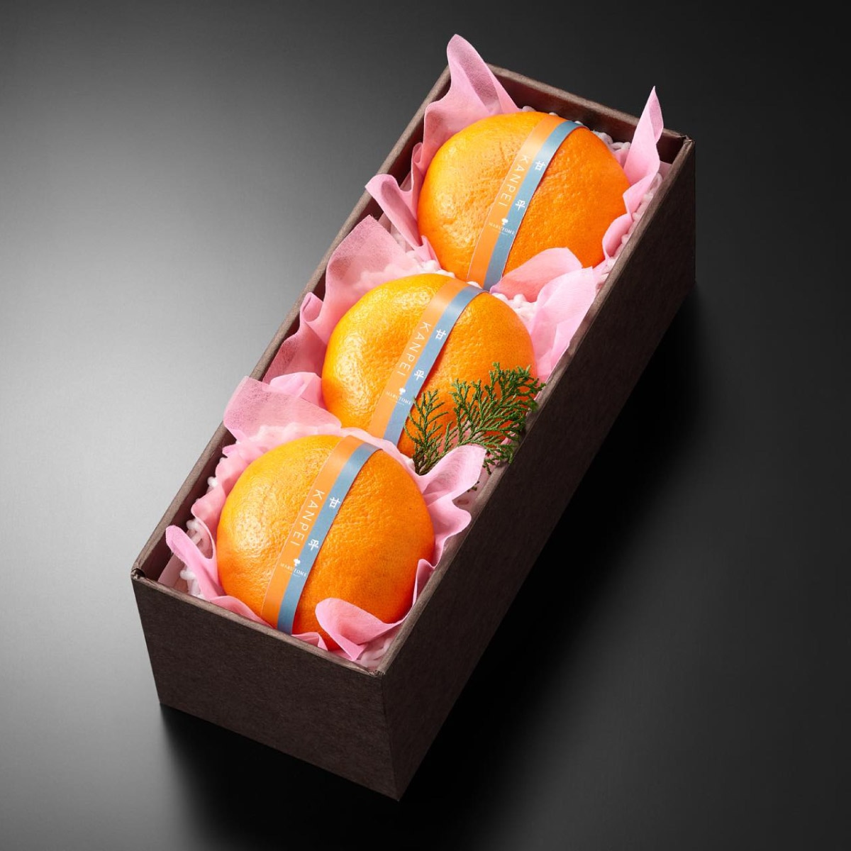 ��ʿ����3����