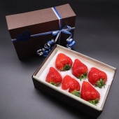 �ڥۥ磻�ȥǡ�����ۤ��ޤ���������6γ��