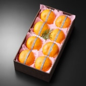 ��ʿ����8����