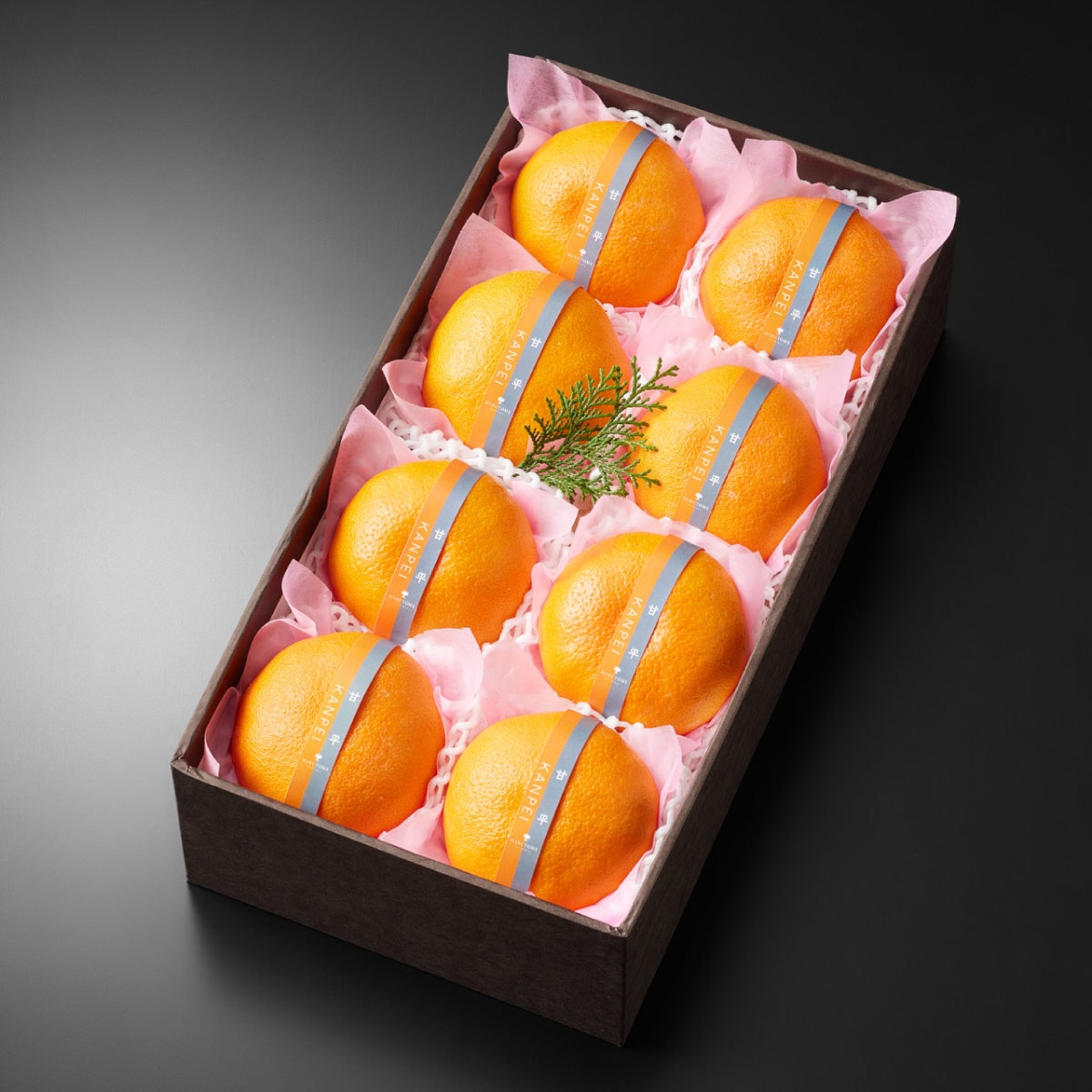 ��ʿ����8����