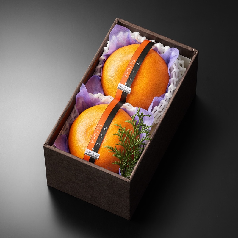 ���Ȥ�����2����