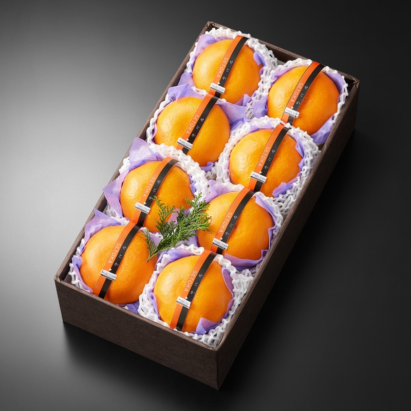 ���Ȥ�����8����