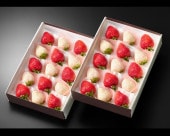 ��������30γ����(15γ��2��)