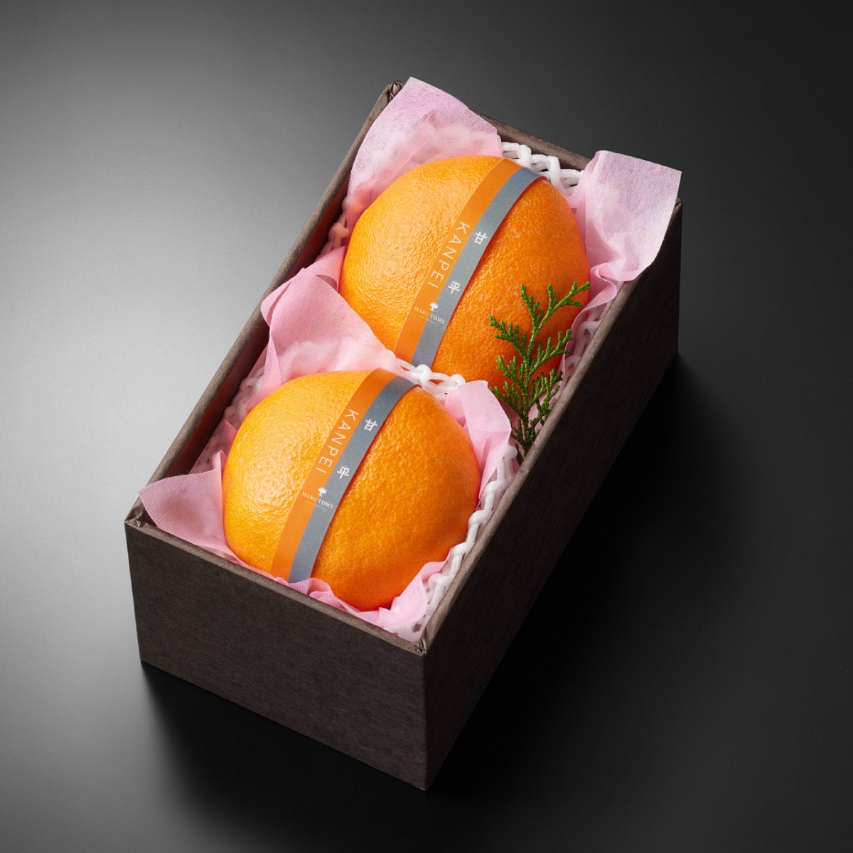 ��ʿ����2����