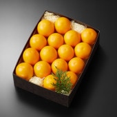 �ⴻ�֤�������(16��18γ��)