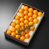 �ⴻ����(��32��36γ��)