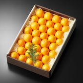 �ⴻ�֤���������(��32��36γ��)