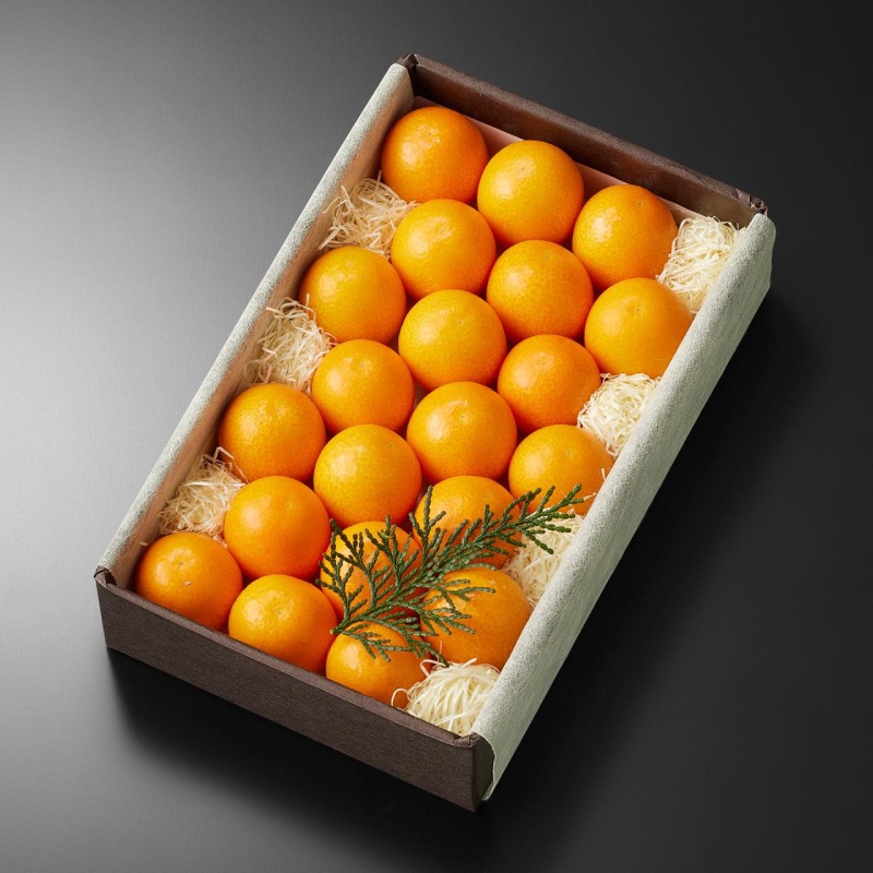 �ⴻ����(��20��24γ��)