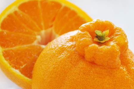 �ǥ��ݥ�����3����