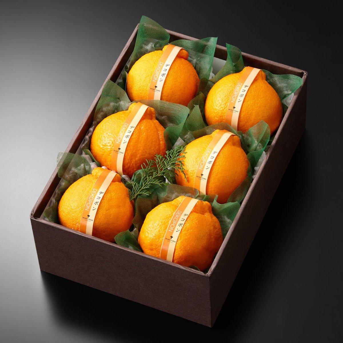 �ǥ��ݥ�����6����