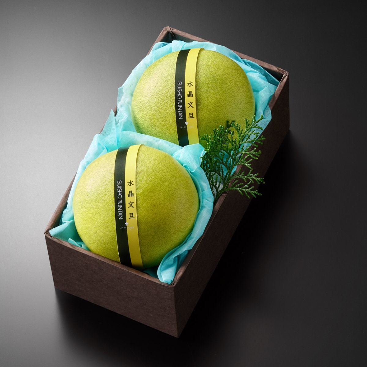 �徽ʸö2����