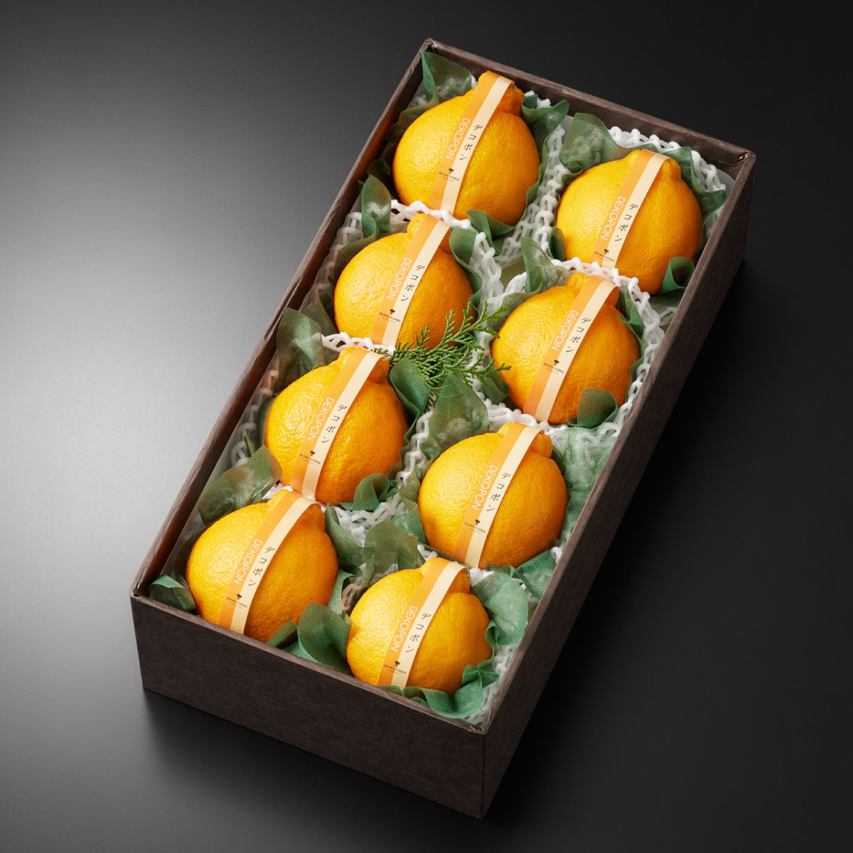 �ǥ��ݥ�����8����