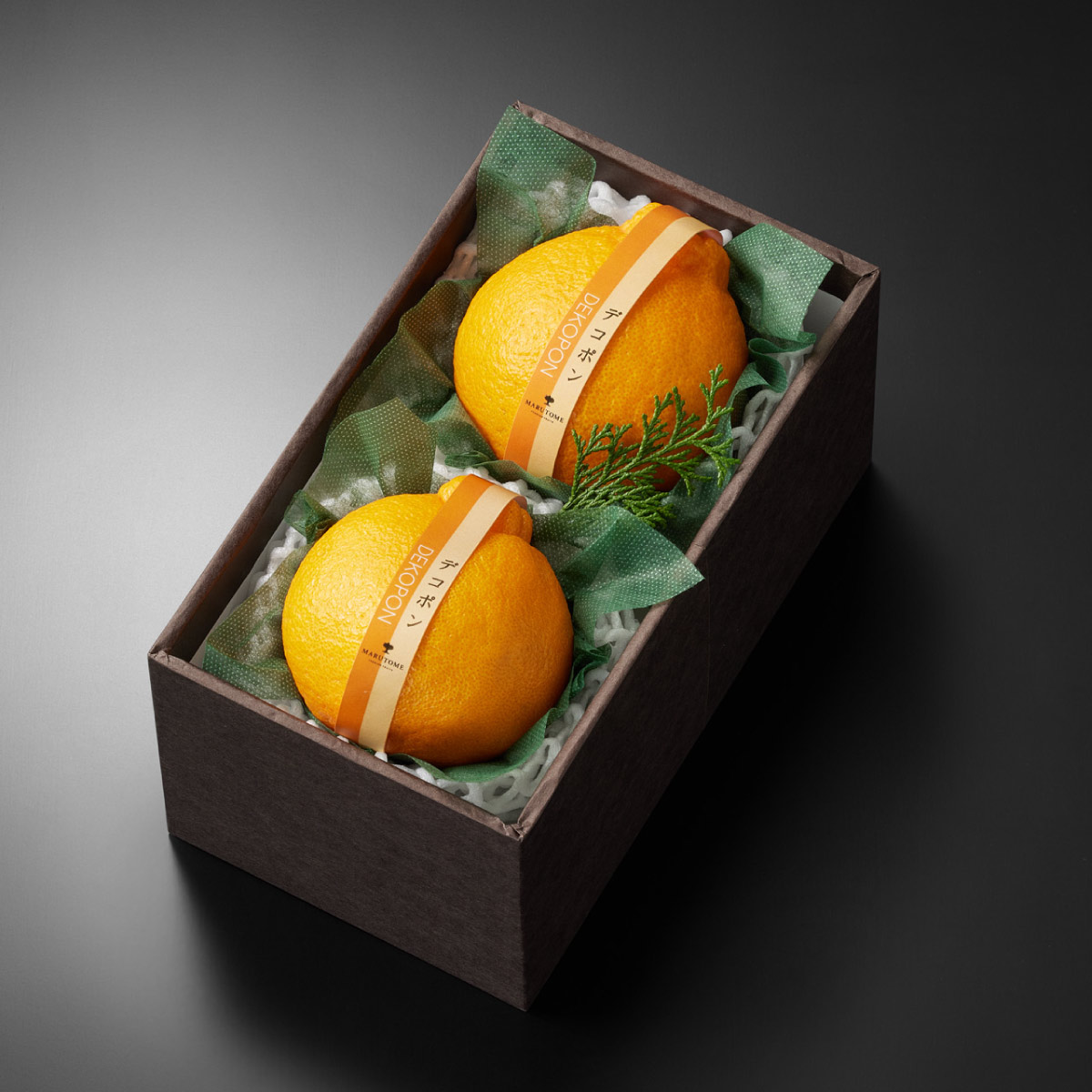 �ǥ��ݥ�����2����