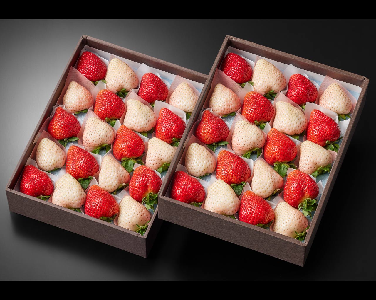 ��������40γ����(20γ��2��)