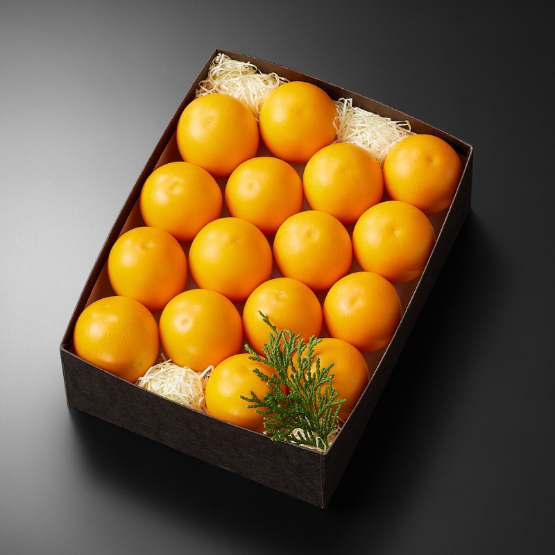 �ⴻ�֤������׾�(16��18γ��)