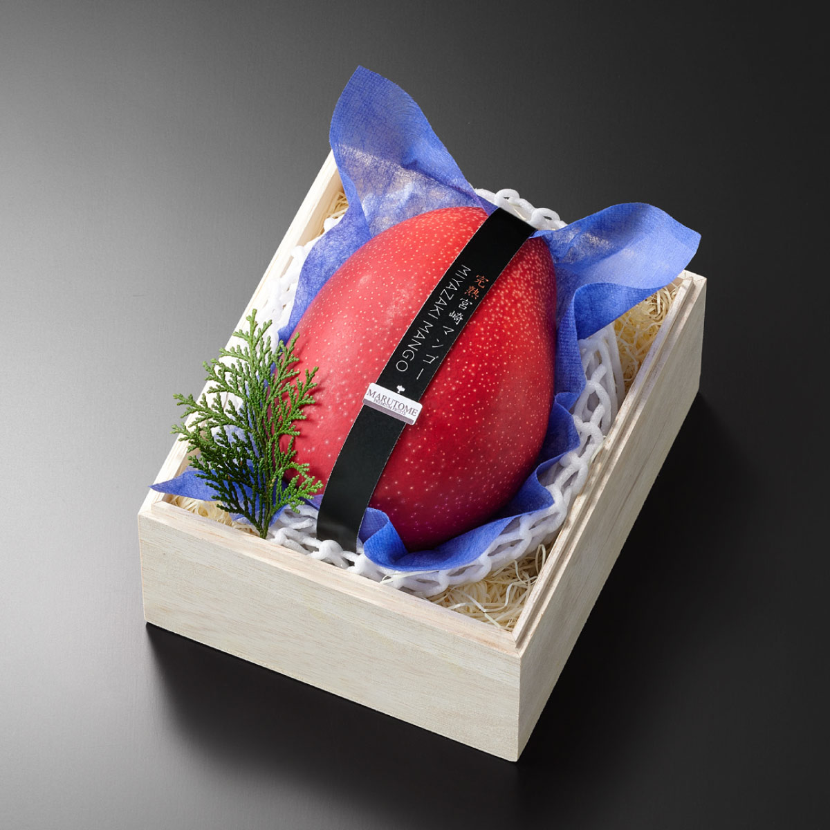 �񻺥ޥ󥴡�����1�����ڶ�Ȣ��