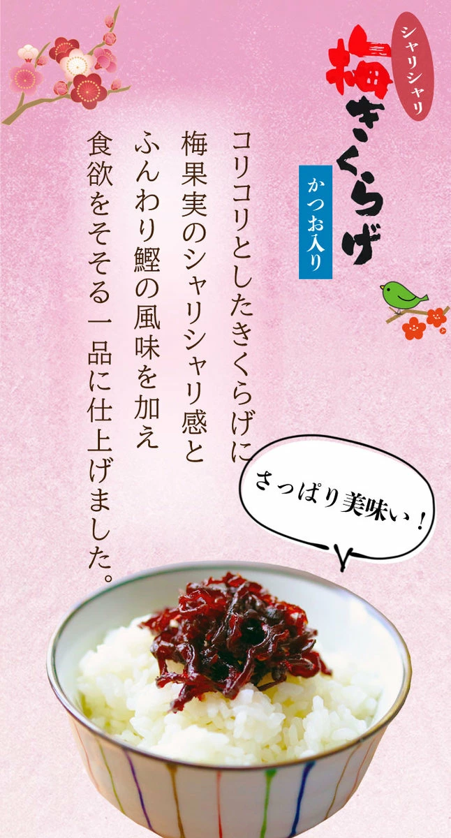 メール便セット（きくらげ三昧）