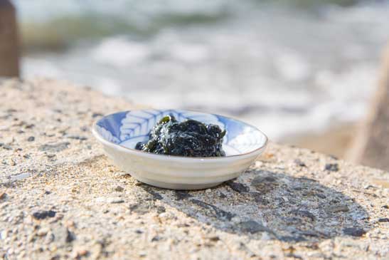 青岩のり風味 1kg