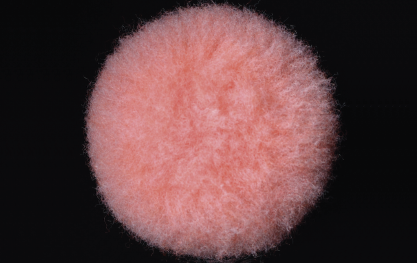 ��������å�EX�����顼��30�ߥꡡ�ߥɥ�/���⡼��