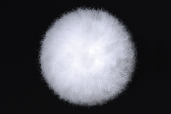 ���ե����顼�����ӡ����⡼��