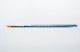 �ޥ�ơ��ʥ������ɮ�����ݷ�