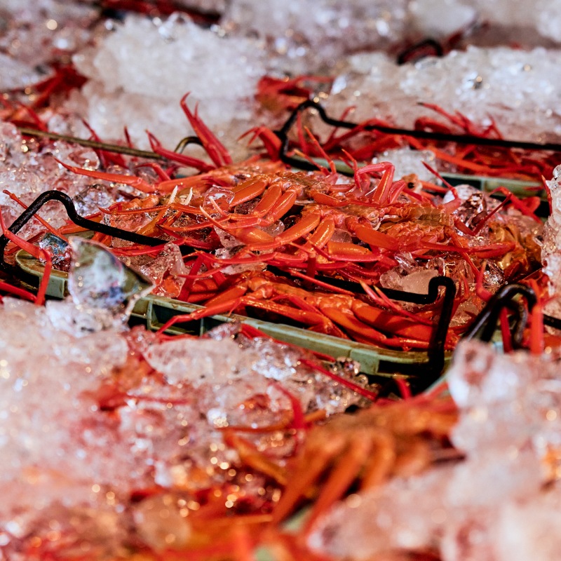 蟹屋の釜茹で紅ずわいガニ2杯セット（大） | すべての商品 | 蟹専門店