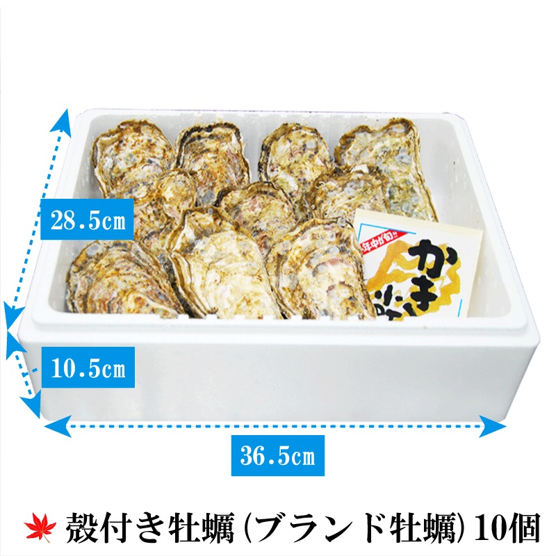 (褭)Į(֥ɲ)ڿ̸