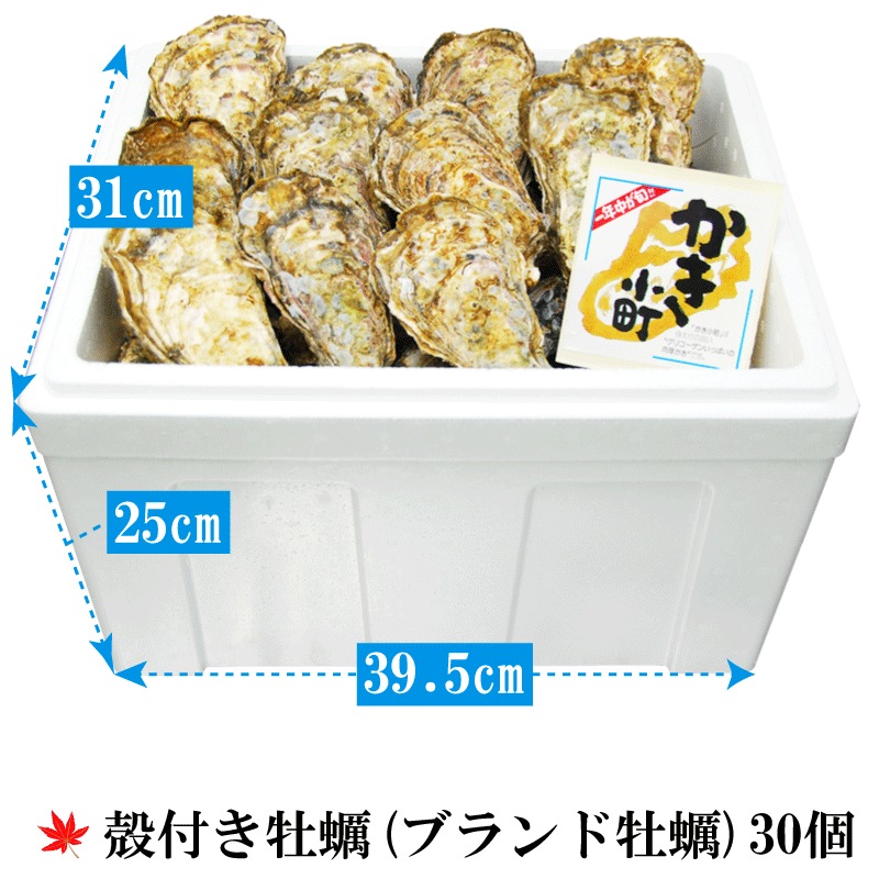 (褭)Į(֥ɲ)ڿ̸