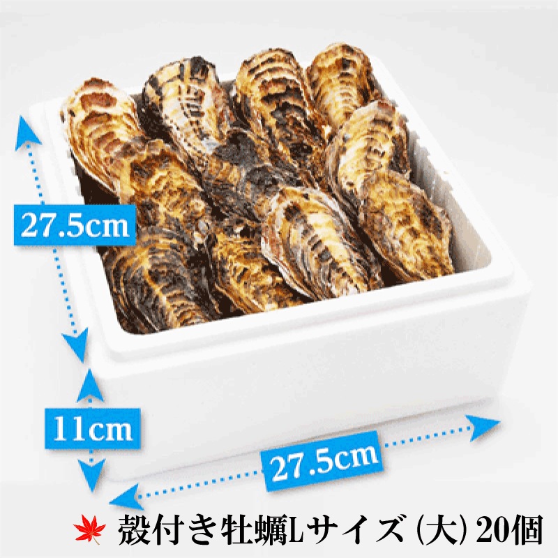 (褭)γդL()