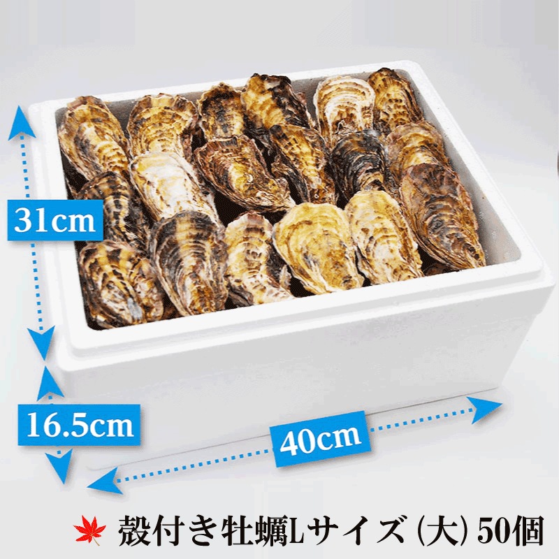 (褭)γդL()