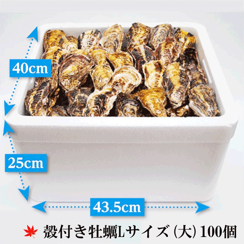 (褭)γդL()