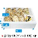 (褭)Į(֥ɲ)ڿ̸