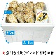 (褭)Į(֥ɲ)ڿ̸