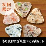 【初回限定】冷凍もち麦おにぎり 選べる2袋セット（送料・クール代込み）
