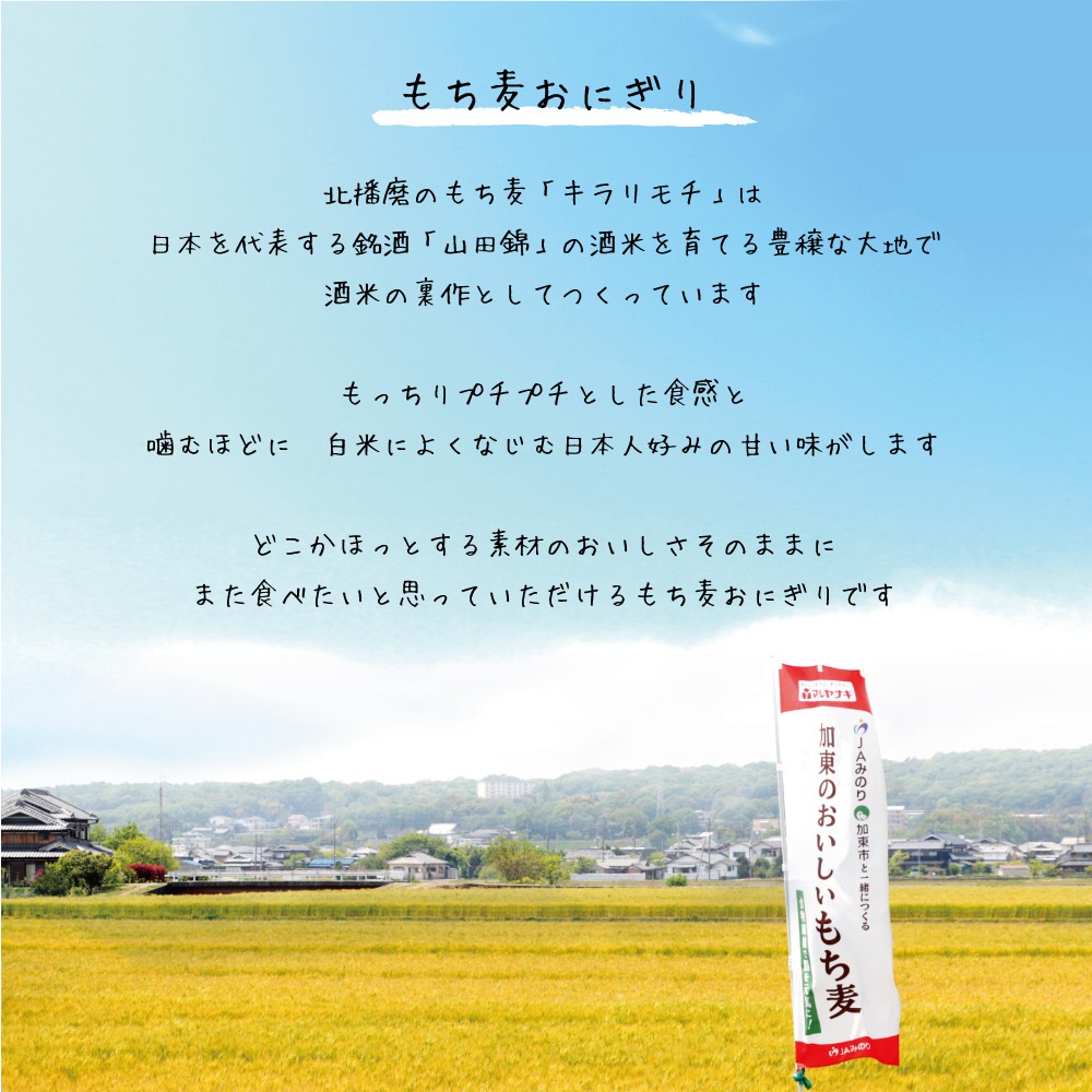 【初回限定】冷凍もち麦おにぎり 選べる2袋セット（送料・クール代込み）