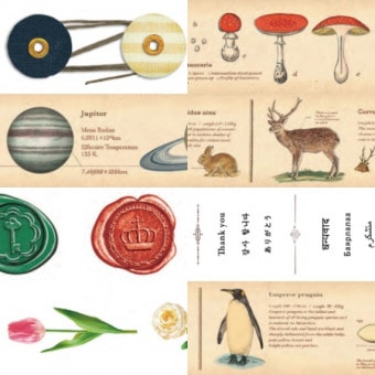 ��[KAMOI�������ù���]���ޥ����󥰥ơ��ס���mt��ex���꡼������30mm��Ĺ��7m��2022�ղ�����������